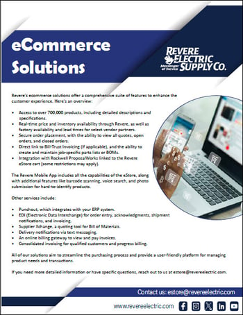 ebusiness solutions flyer-1